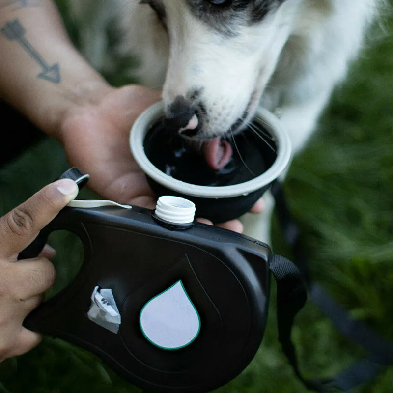 5-in-1 Dog Leash: Water Bottle, Bowl, Waste Bag Hook & Dispenser