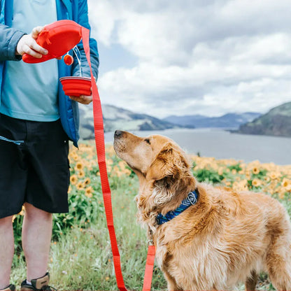 5-in-1 Dog Leash: Water Bottle, Bowl, Waste Bag Hook & Dispenser